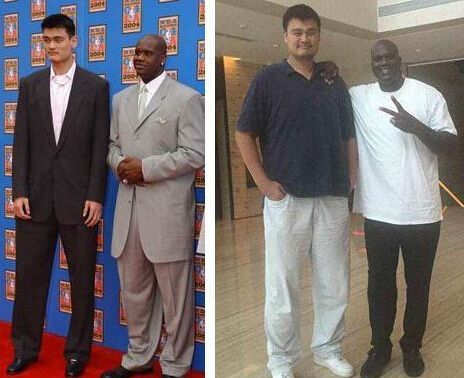 板稳定了前 板稳定了前